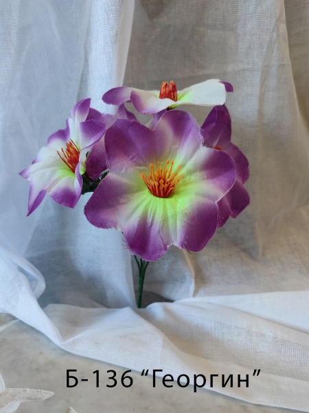 Б-136 "Георгин" 6 г.