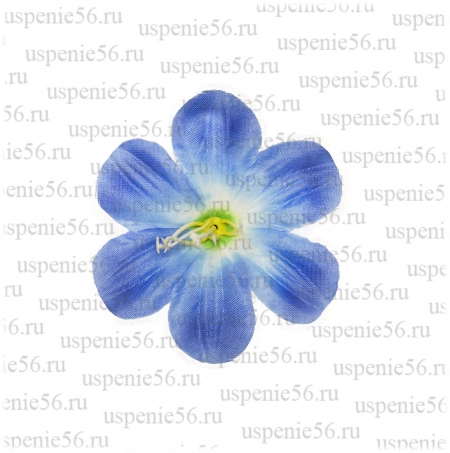 Г-100 Голова клематиса мелкого image 3