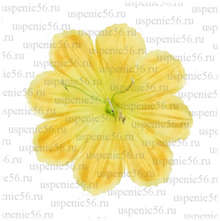 Г-115 Голова колокольчика с золотой тычинкой image 1