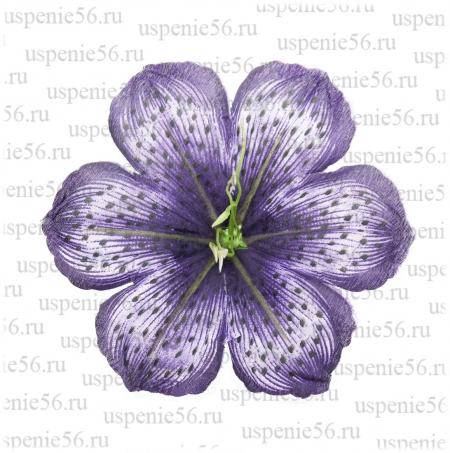 Г-218 Голова амараллиса атласного image 2