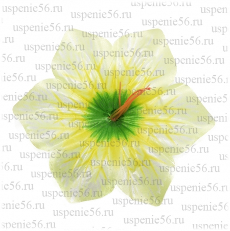 Г-40 Голова лилии атласная d 14 см. image 2