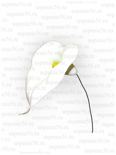 Калла пластмассовая d=10 см.