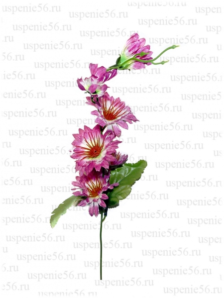 В-10 ветка "Ромашка средняя" image 2