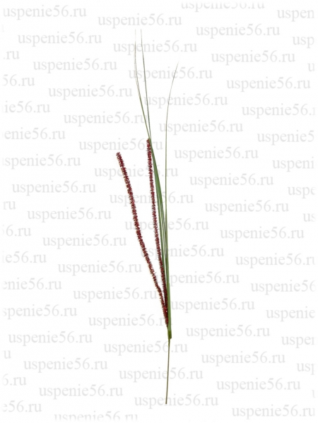 В-11 ветка "Свеча" с блестящей травой