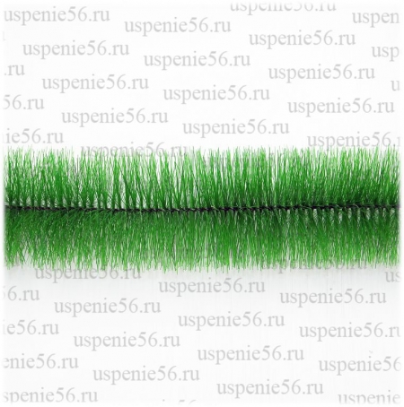 Ёрш светлый, молодая трава.