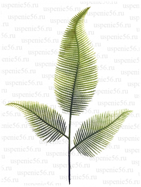 № 3-1 зелень в ассортименте image 1